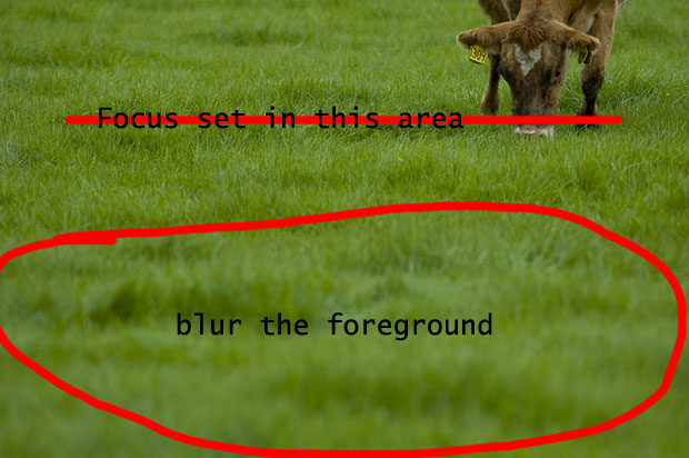 where to focus to blur foreground