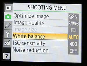 example of Nikon D40 shooting menu