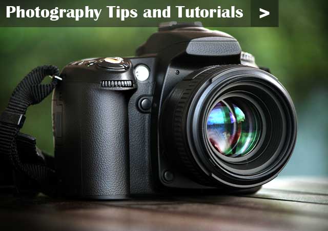 more photography tips and tutorials