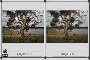 raw image format example