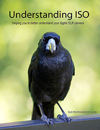 Understanding ISO