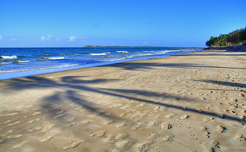 photo of beach and palm tree shadows taken late afternoon