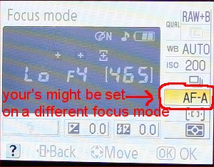 focus setting on digital SLR camera