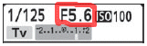 camera LCD display