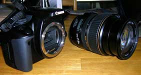 What does SLR digital camera mean