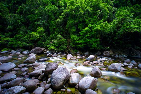 How to photograph waterfalls and streams - forest stream photo