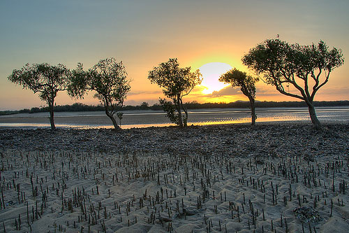 HDR sunset